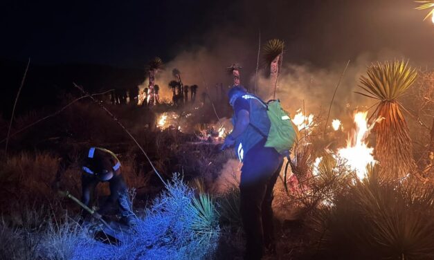 UEDA CONTROLADO INCENDIO EN LOCALIDAD CÁNDIDO NAVARRO: AYTO DE SOLEDAD