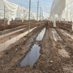 GOBIERNO ESTATAL ACTÚA ANTE DAÑOS POR TROMBA EN LA CAPITAL Y VILLA DE ARISTA