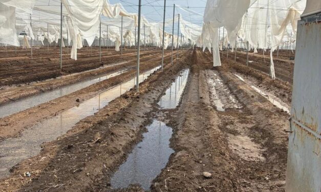 GOBIERNO ESTATAL ACTÚA ANTE DAÑOS POR TROMBA EN LA CAPITAL Y VILLA DE ARISTA