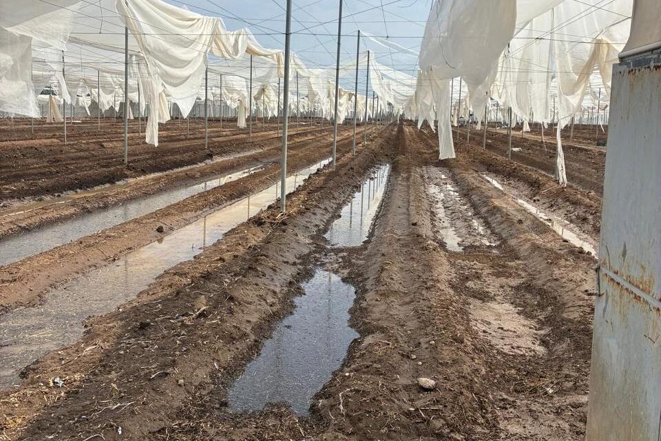 GOBIERNO ESTATAL ACTÚA ANTE DAÑOS POR TROMBA EN LA CAPITAL Y VILLA DE ARISTA