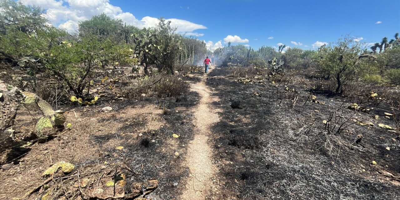 GOBIERNO ESTATAL LIQUIDA INCENDIO FORESTAL EN MATEHUALA
