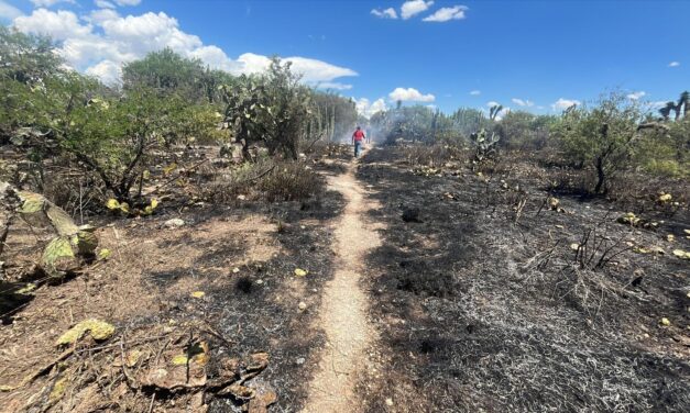 GOBIERNO ESTATAL LIQUIDA INCENDIO FORESTAL EN MATEHUALA