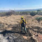 ESTADO ATIENDE INCENDIOS FORESTALES EN SANTA MARÍA DEL RÍO Y CÁRDENAS
