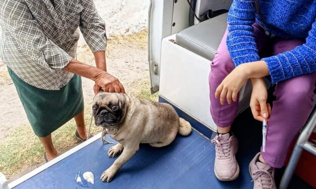 AMBUDOG ACERCA SERVICIOS VETERINARIOS GRATUITOS A CIENTOS DE COLONIAS DE SOLEDAD