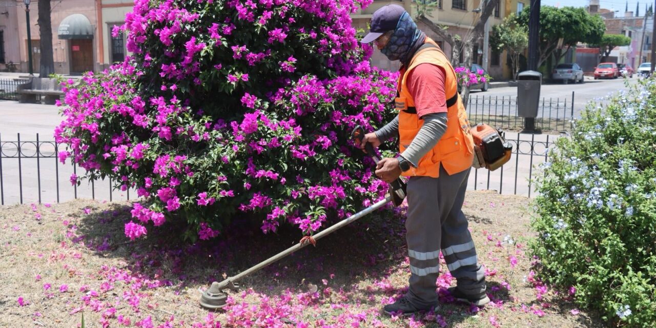 Gobierno de la Capital realiza labores nocturnas de limpieza en el Centro Histórico