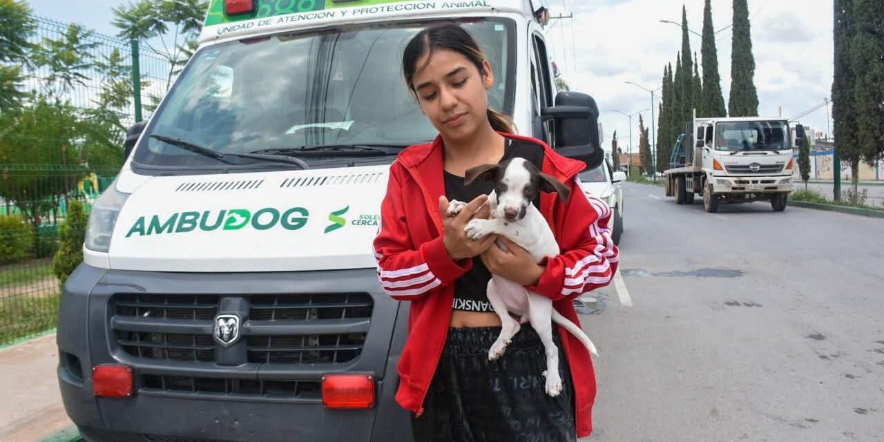 MUNICIPIO DE SOLEDAD, PRIMER MUNICIPIO EN ESTABLECER AGENDA DE PROTECCIÓN ANIMAL EN SLP