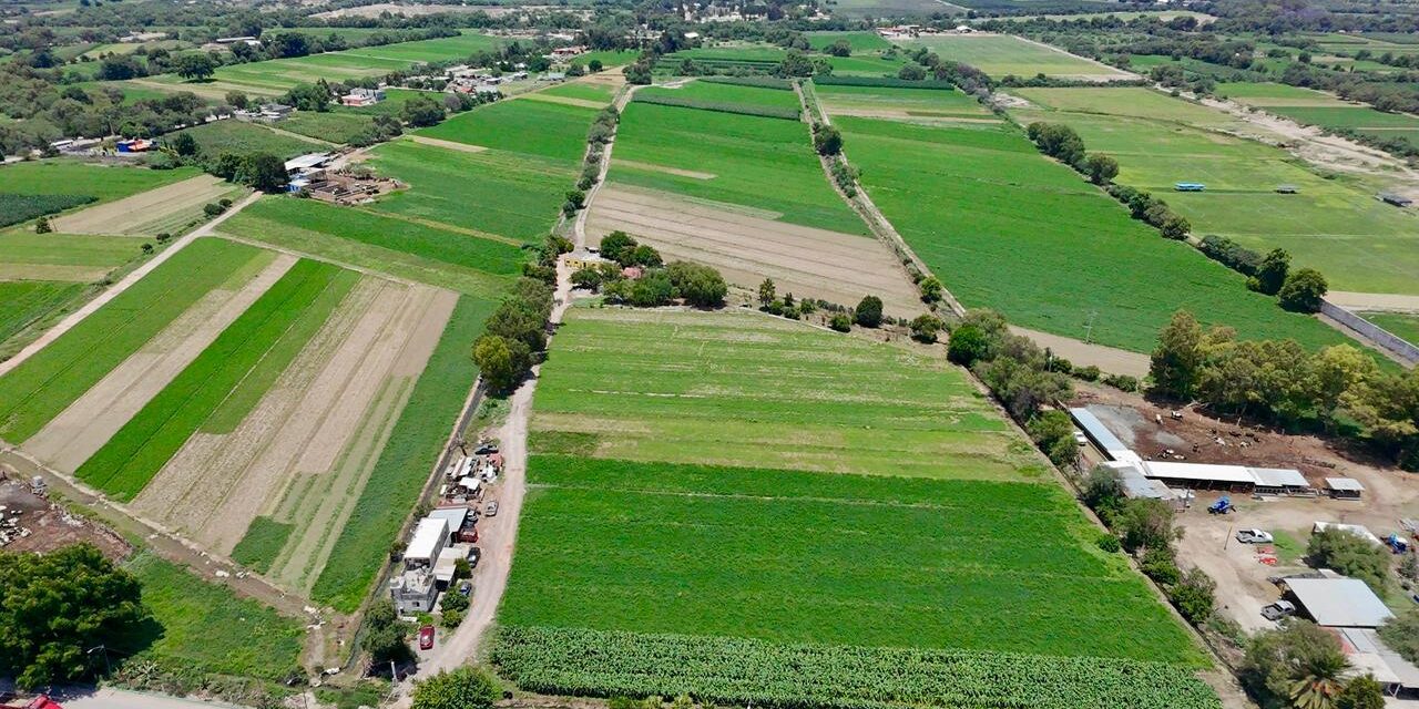 LLUVIAS FAVORECEN AL CAMPO SOLEDENSE; GOBIERNO MUNICIPAL MANTIENE MONITOREO EN COMUNIDADES RURALES