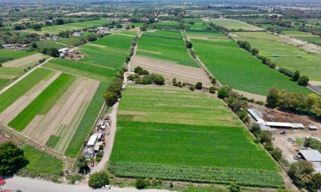 LLUVIAS FAVORECEN AL CAMPO SOLEDENSE; GOBIERNO MUNICIPAL MANTIENE MONITOREO EN COMUNIDADES RURALES