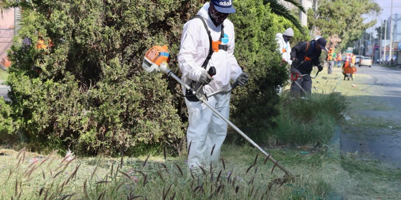 Capital al 100 transforma la Colonia Esmeralda con una jornada integral de limpieza y mejoramiento urbano