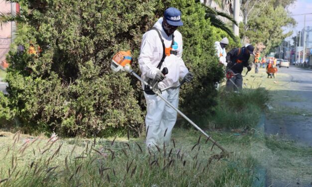 Capital al 100 transforma la Colonia Esmeralda con una jornada integral de limpieza y mejoramiento urbano