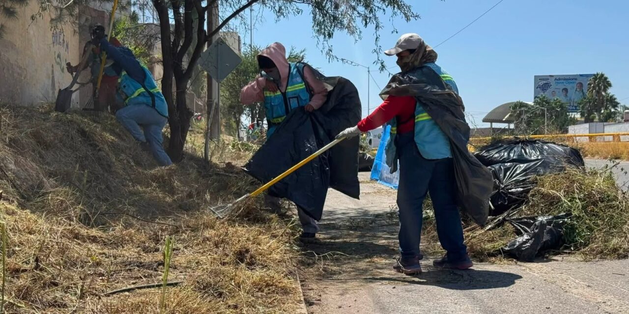 Gobierno de la Capital mantiene limpieza integral en el bulevar Antonio Rocha Cordero