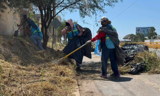 Gobierno de la Capital mantiene limpieza integral en el bulevar Antonio Rocha Cordero
