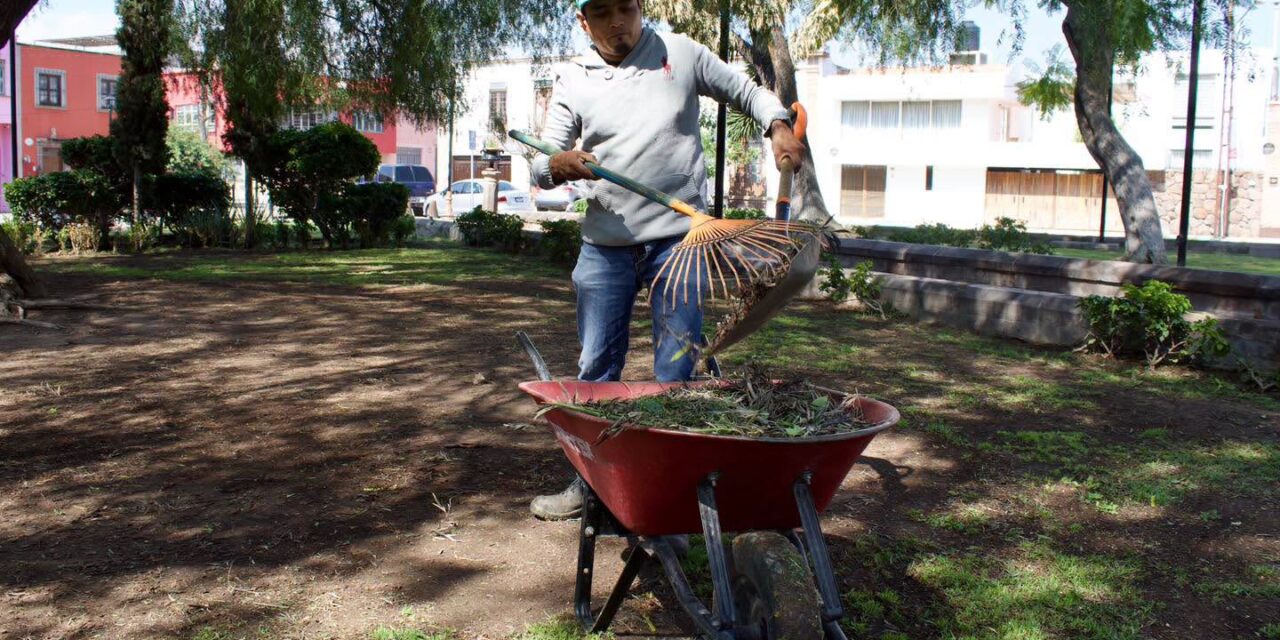 PreservaN el Jardín de San Miguelito con mantenimiento permanente
