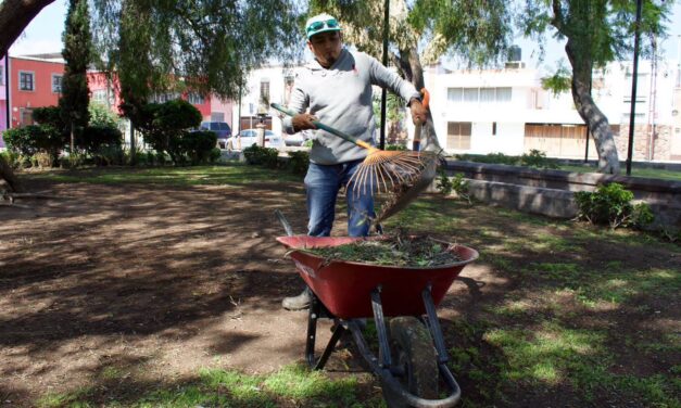 PreservaN el Jardín de San Miguelito con mantenimiento permanente