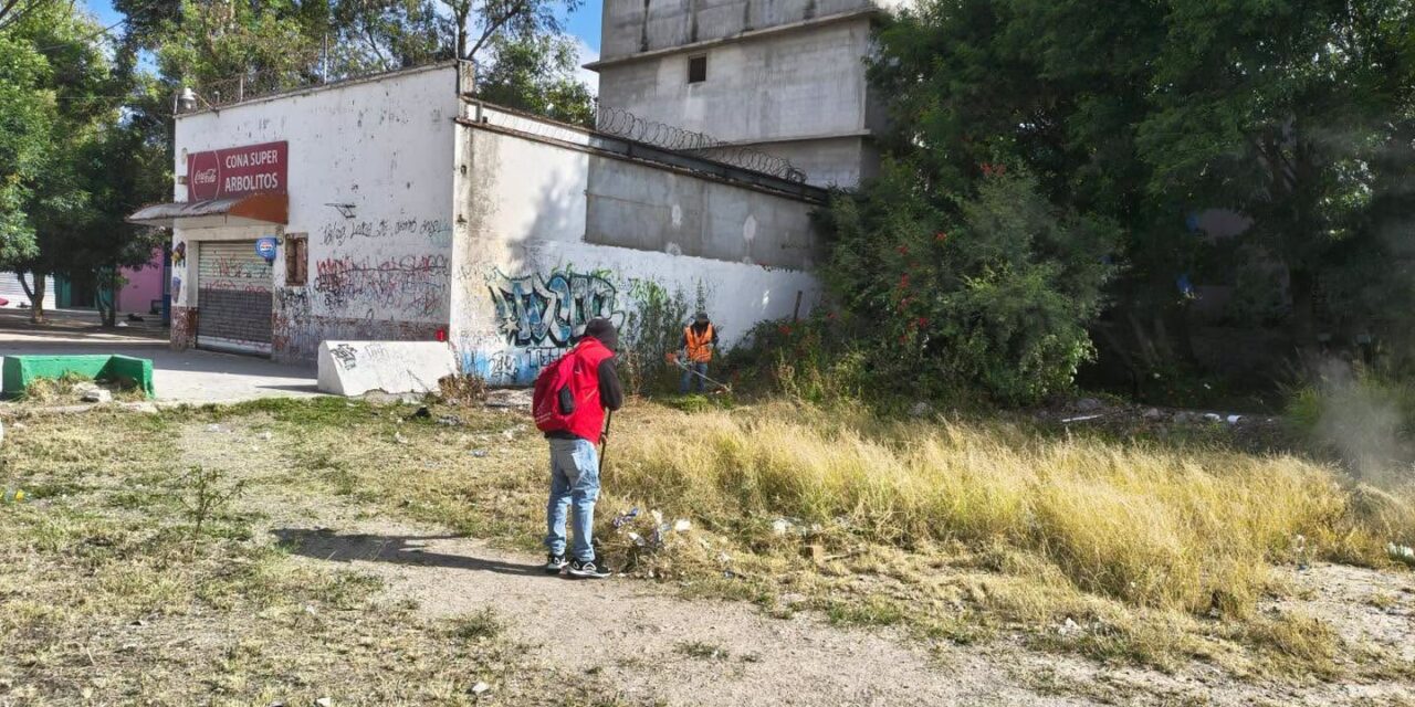 Gobierno de la capital realiza limpieza en la Unidad Habitacional Arbolitos